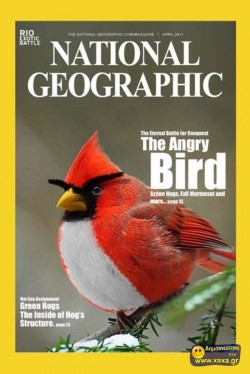 Angy birds αστείες φωτογραφίες