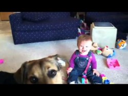 Μωρό ξεκαρδίζεται με το σκύλο που κυνηγάει φούσκες
