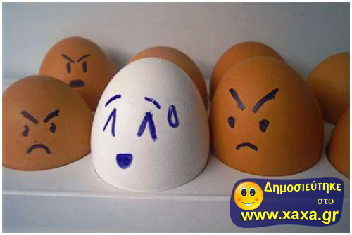 Αυγά (1)