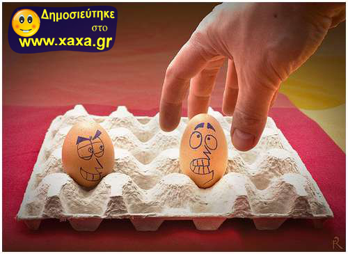 Αυγά (12)