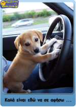 Σκύλος οδηγός