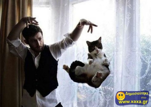 Γάτες σε απίθανες και αστείες φωτογραφίες της κατάλληλης στιγμής (24)