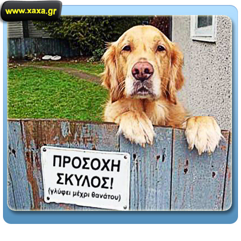 Προσοχή σκύλος !!!