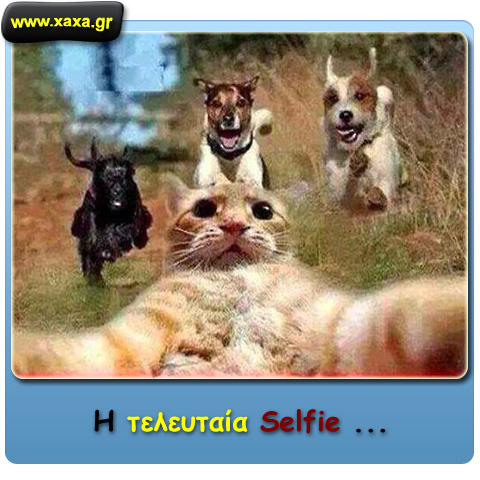 Selfie ...