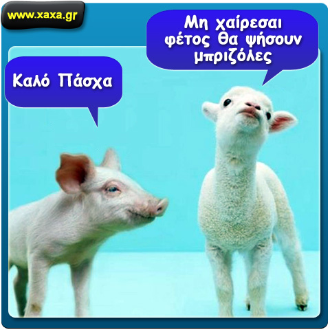 "Μην χαίρεσαι ..."