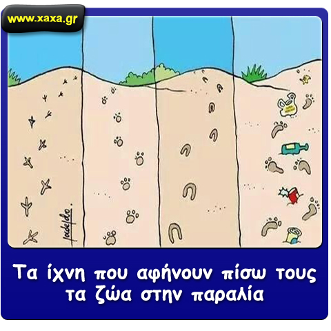 Τα ζώα στην παραλία ...